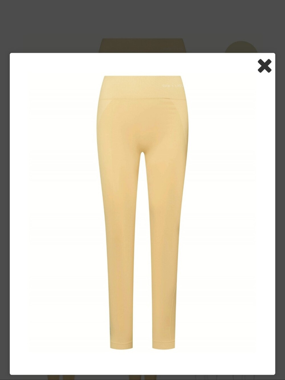 GAI+LISVA Shanti Seamless Leggings in Light Mustard